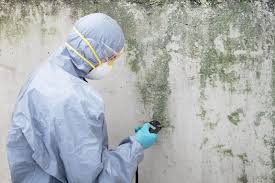 Best Industrial Mold Remediation  in Doylestown, OH